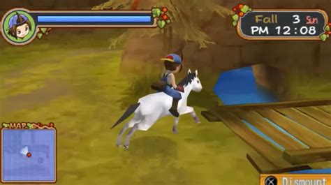 harvest moon hero of leaf valley horse race bet